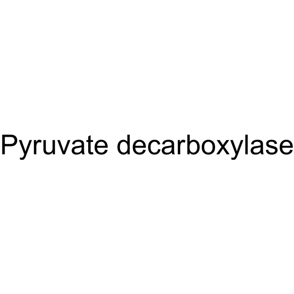 Pyruvate decarboxylase (Kp-IpdC) 9001-04-1